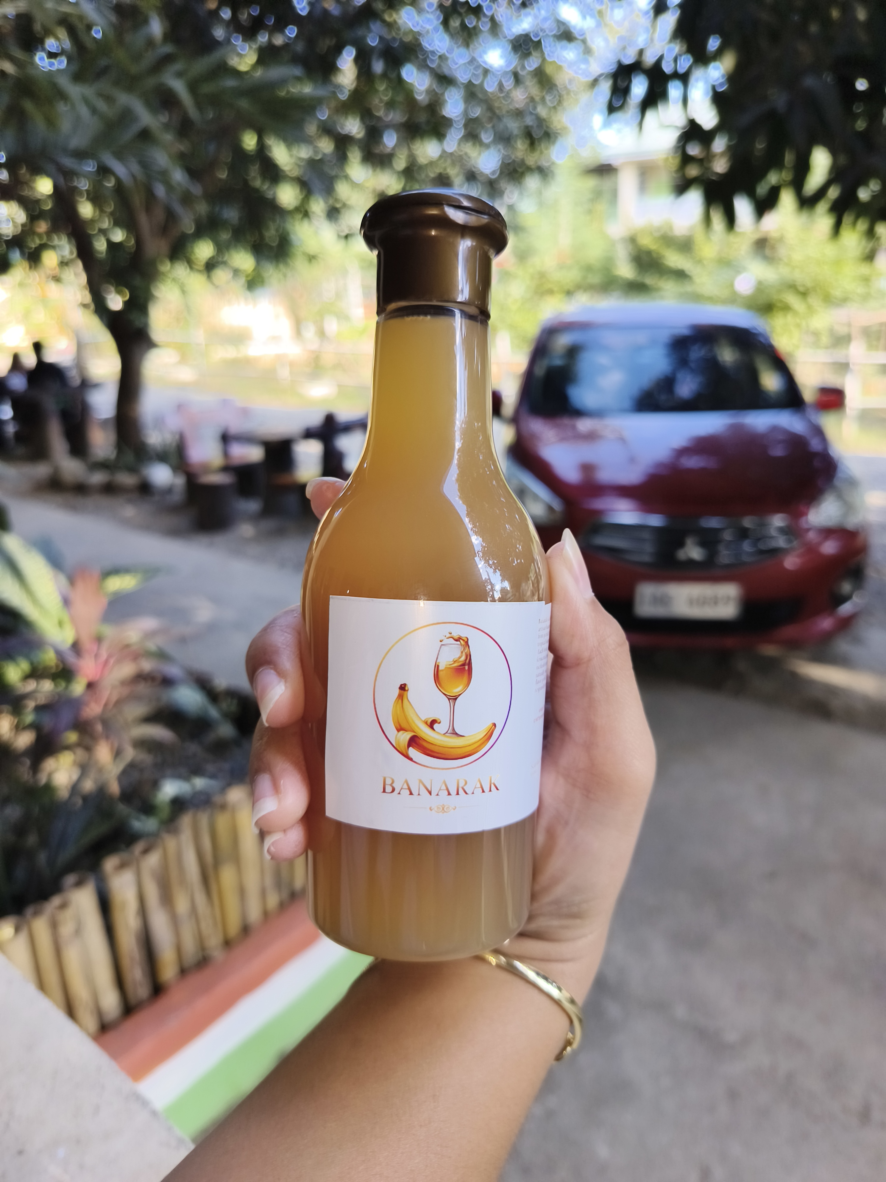 Banarak Wine Bottles